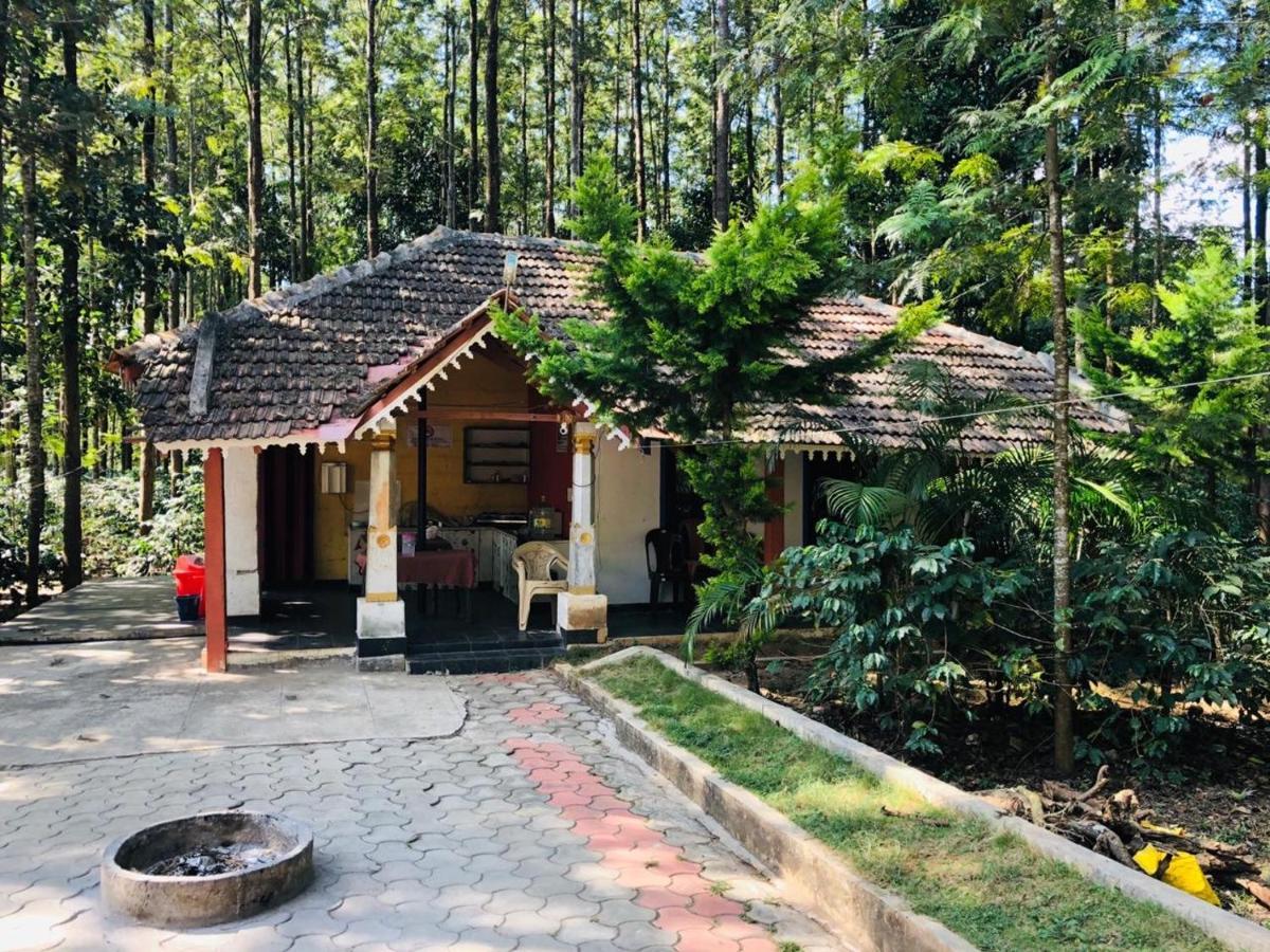 Silver Shadow Homestay Chikmagalūr 외부 사진